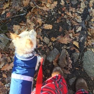 Meet your Posher, Alice